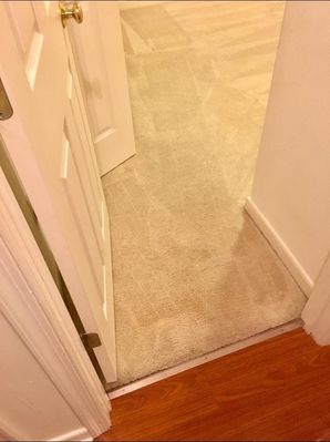 Before & After Carpet Stain Removal in Richmond, VA (2)