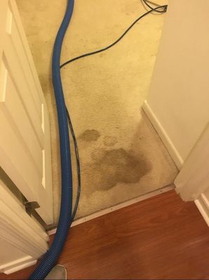 Before & After Carpet Stain Removal in Richmond, VA (1)