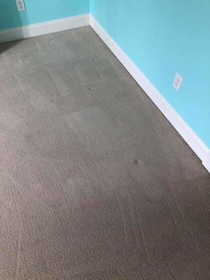 Carpet with coffee stain